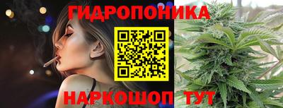 прущие крисы Новодвинск