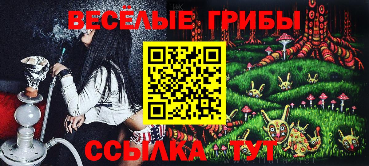 Галлюциногенные грибы прущие грибы Чита