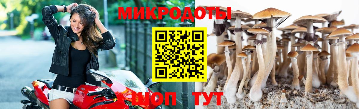 Галлюциногенные грибы Psilocybine cubensis  Вход с VPN  сколько стоит  Чита  Псилоцибиновые грибы Magic Shrooms 